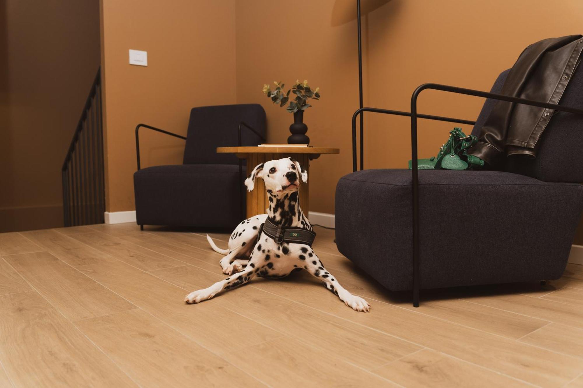 House Of Design Casati Bed & Breakfast มิลาน ภายนอก รูปภาพ